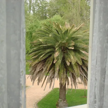 招待所 卢安达旅馆 托马尔